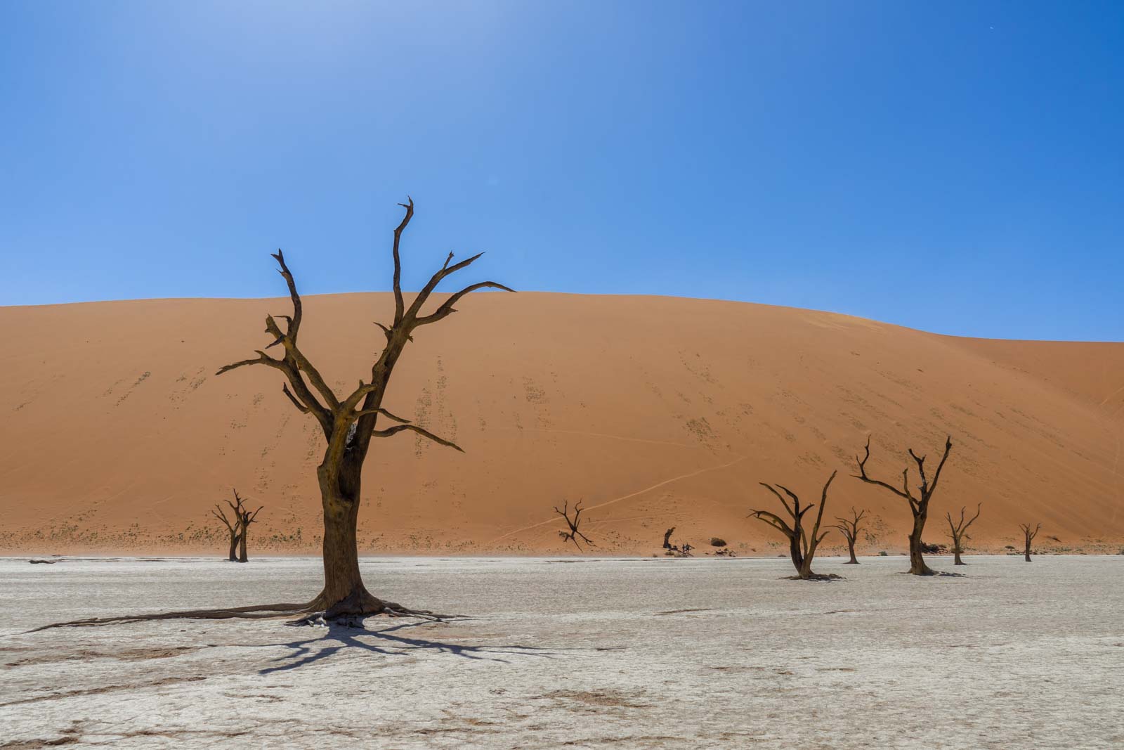 Sossusvlei A Guide To Visiting The Great Sand Dunes Of Namibia