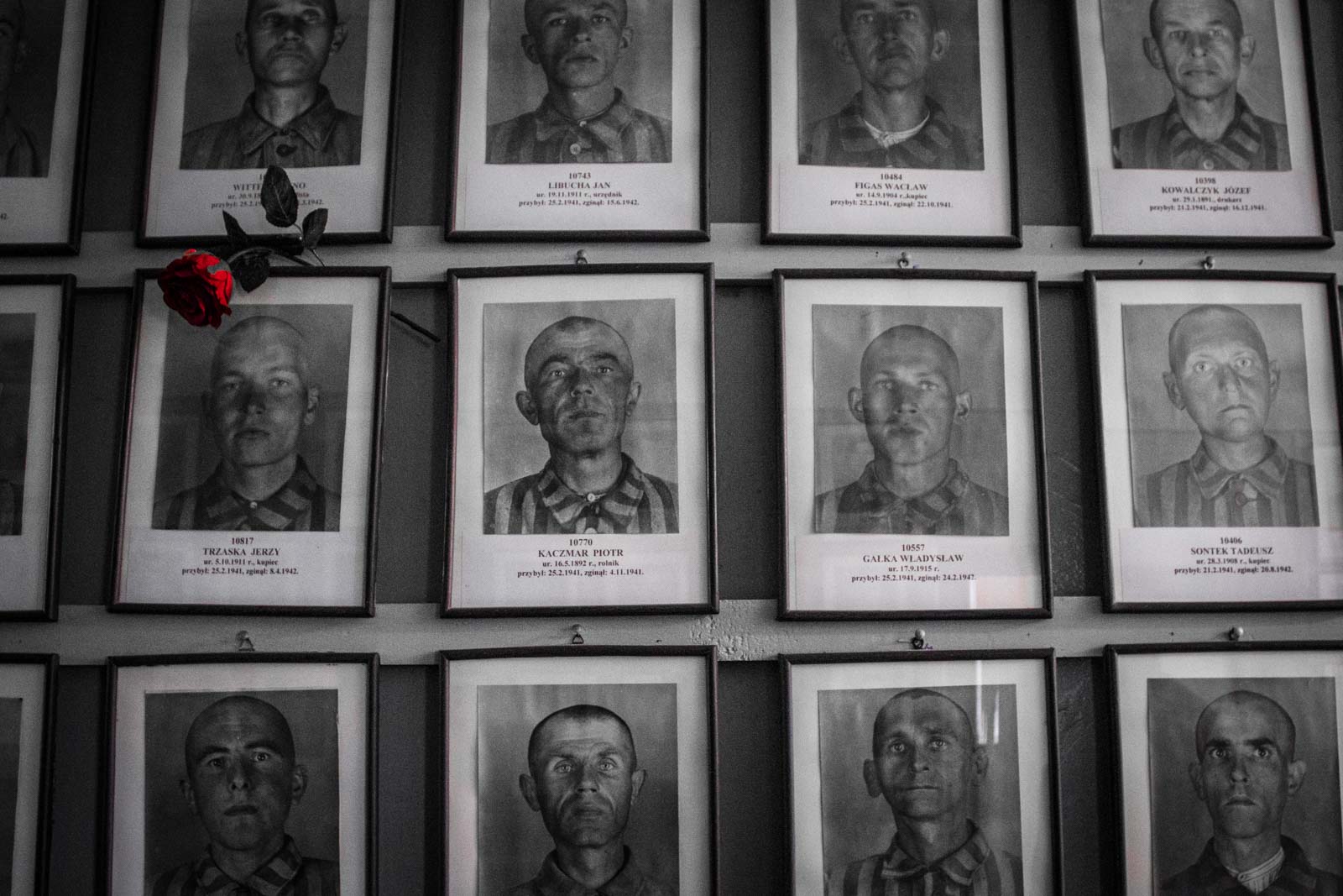 Auschwitz Birkenau Concentration Camp Poland