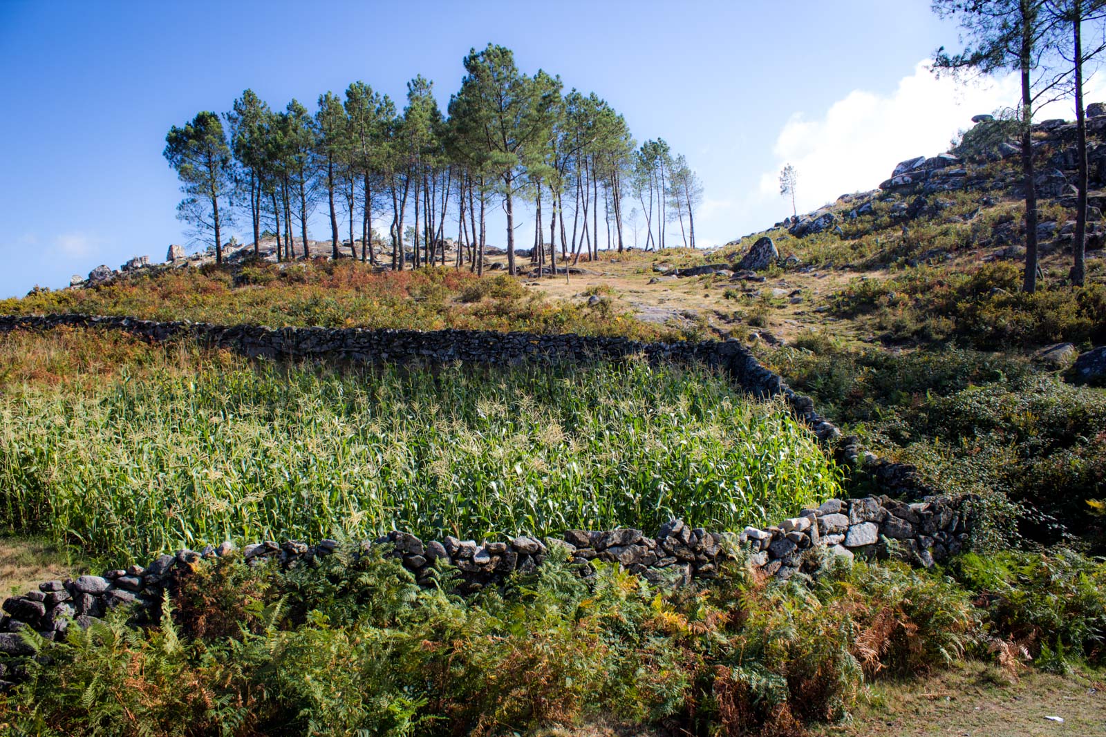 Arouca Geopark in Portugal: The stones that give birth