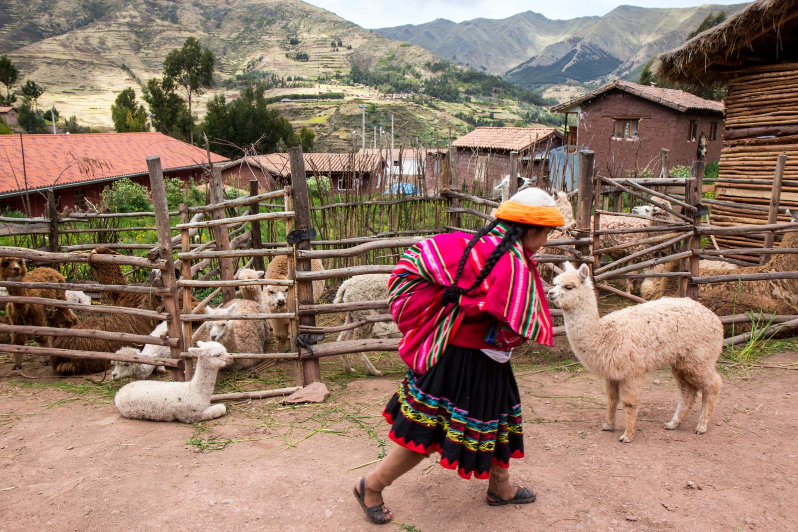 Women's Weaving Cooperative, Peru