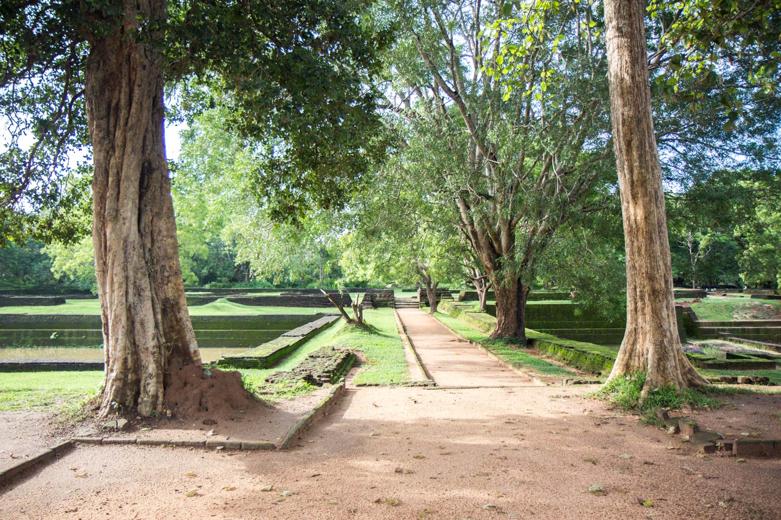 Ancient City Of Sigiriya Sri Lanka - 