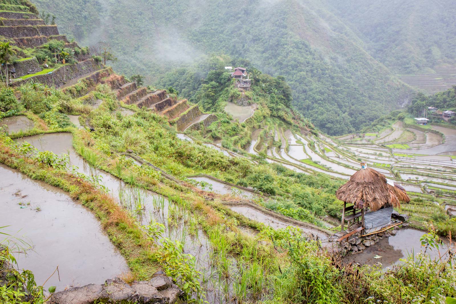 Batad Rice Terraces, Banaue, The Philippines