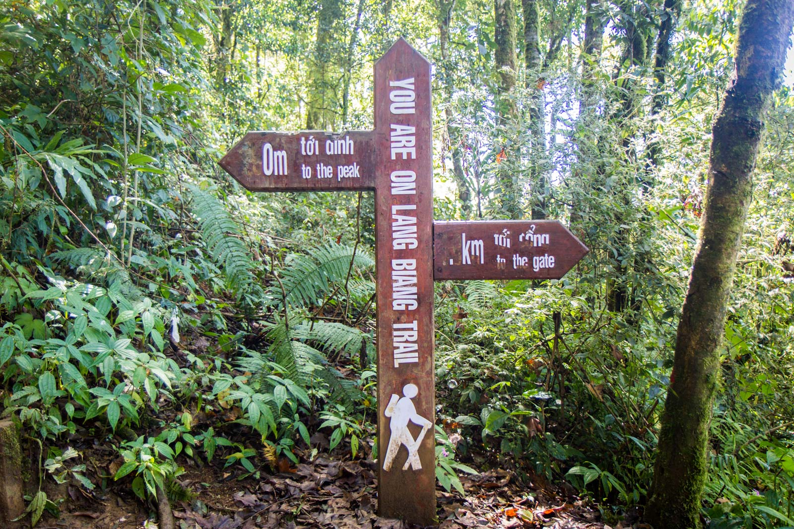 Hiking Lang Biang Peak, Dalat, Vietnam