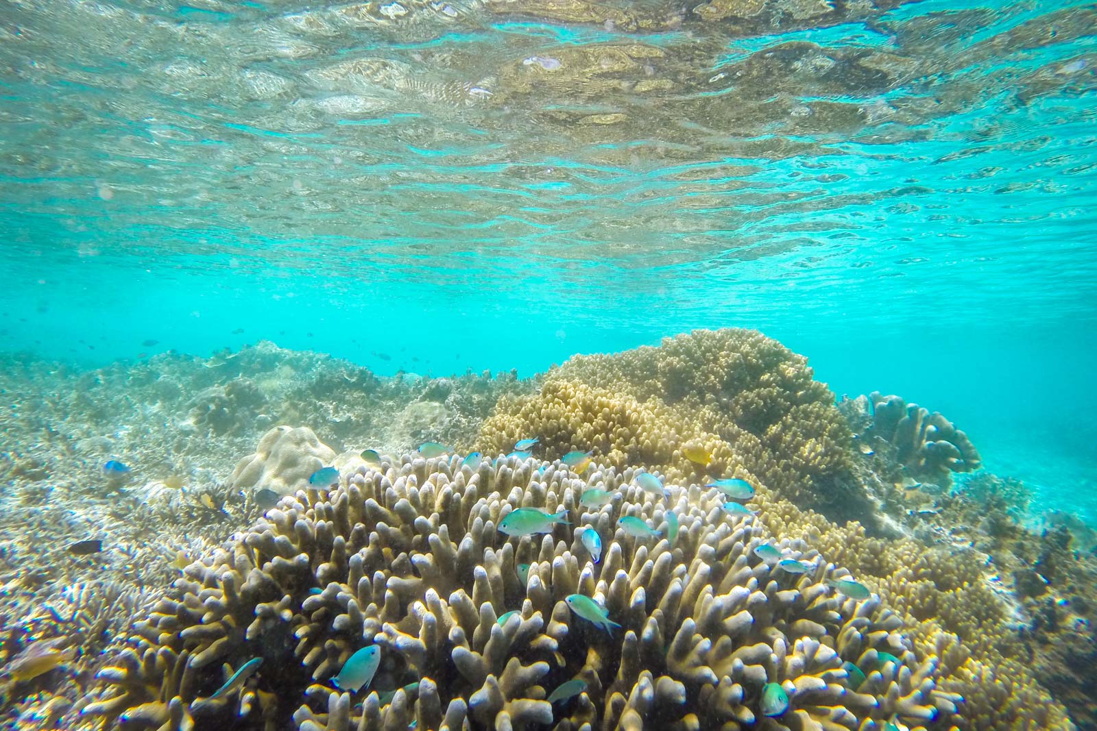 Visiting Raja Ampat in Indonesia