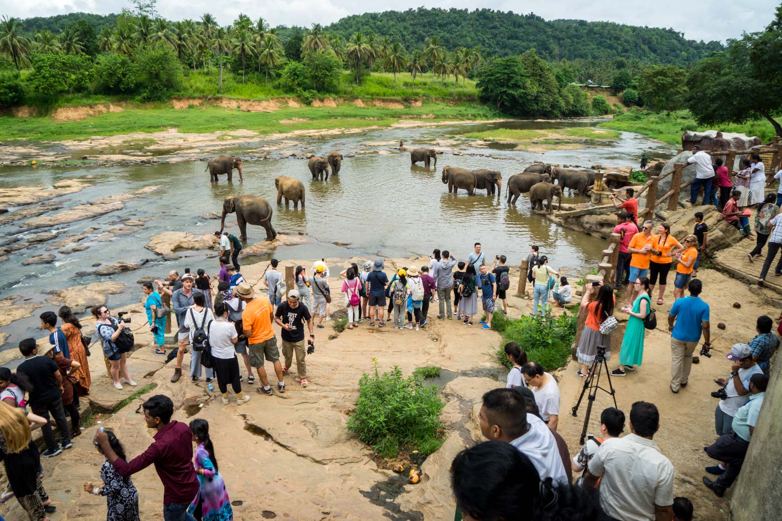 Addressing concerns about Pinnawala Elephant Orphanage, Sri Lanka