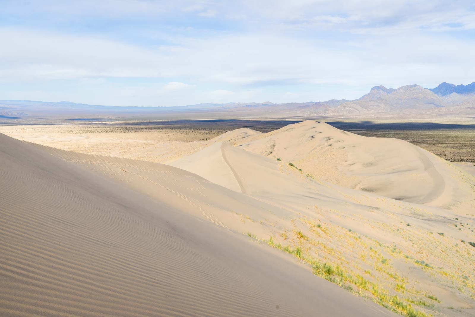 Mojave National Preserve - the best stop between LA and Vegas