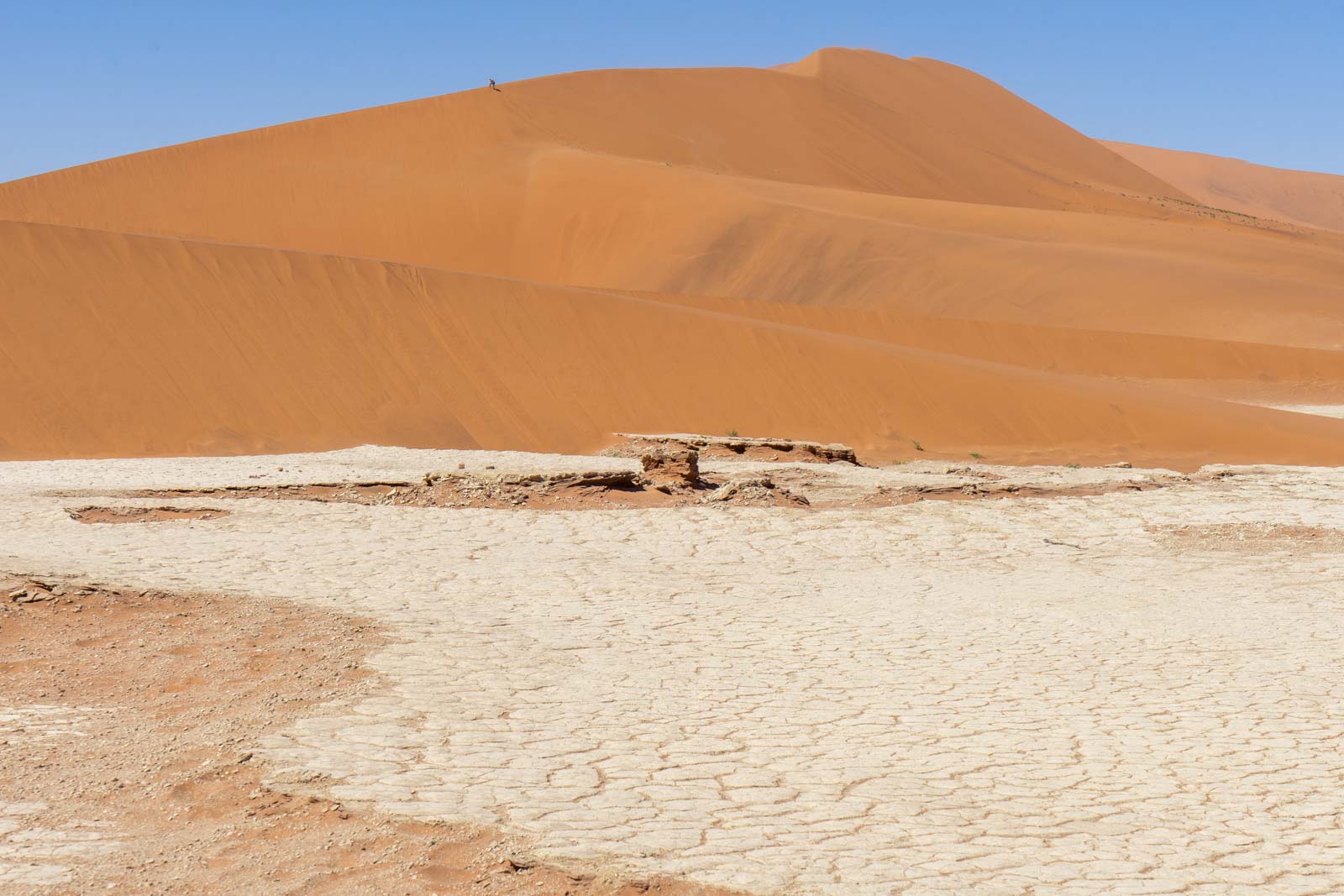 Sossusvlei - A Guide To Visiting The Great Sand Dunes Of Namibia