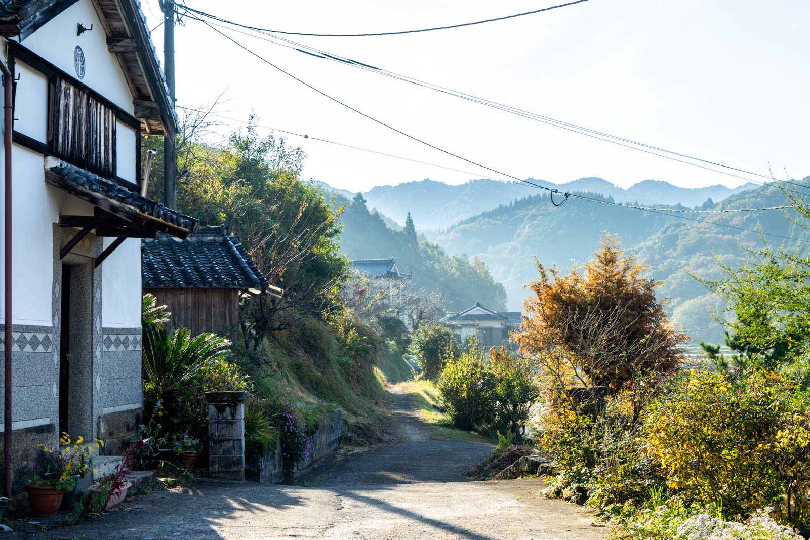 A homestay in Oita, Japan - How to stay with a Japanese family