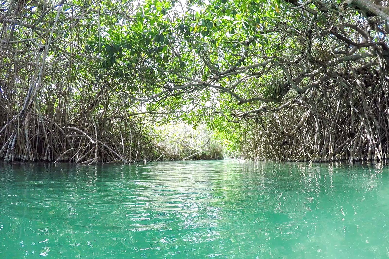 The Sian Ka'an Biosphere Reserve - Visiting from Tulum, Mexico