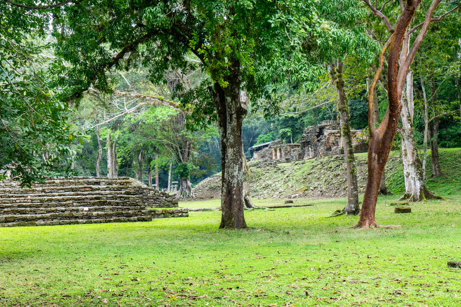 Yaxchilan Mayan ruins - An adventure in Mexico