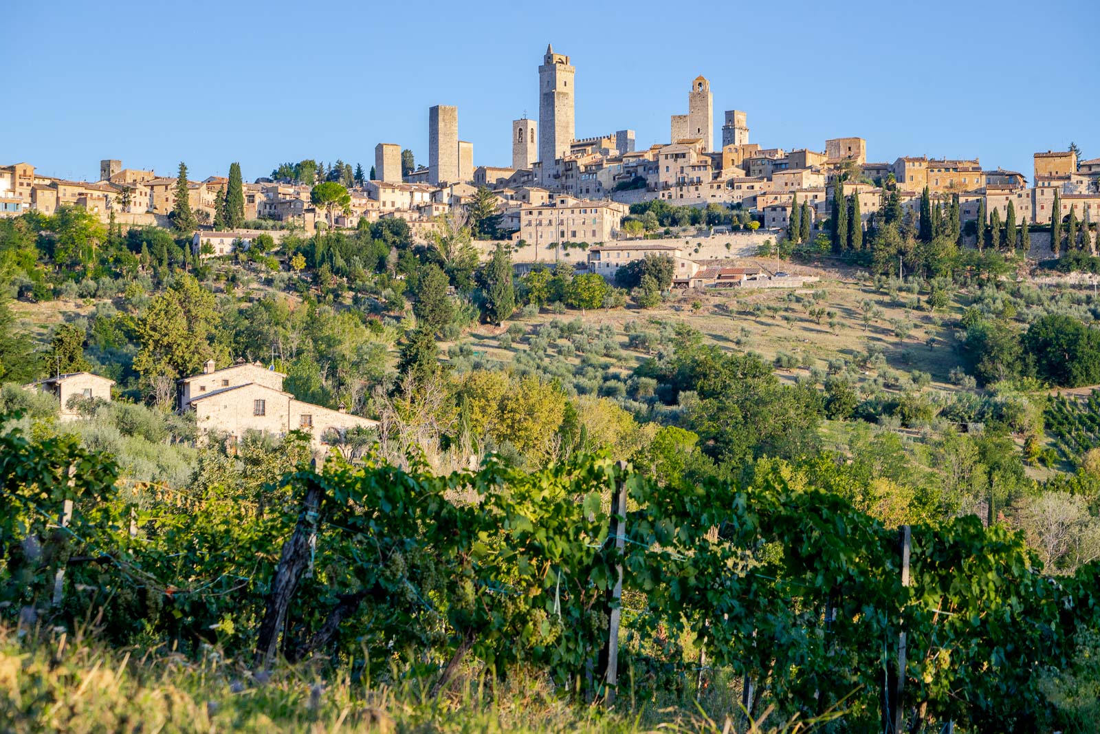 Things to do in San Gimignano in 2024