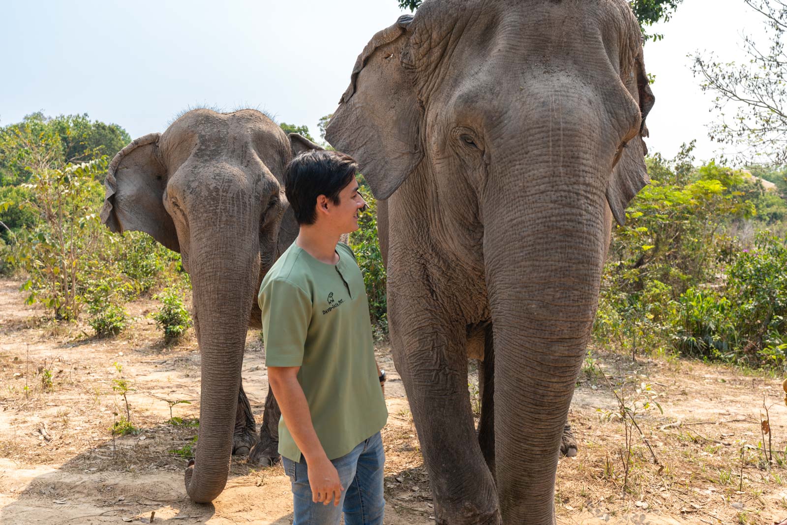 The Kulen Elephant Forest, Siem Reap, Cambodia